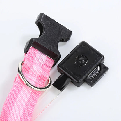 🐶 Állat LED Nyakörv: Éjszaka Biztonság + Látható Egyszerre! ✨