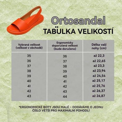 Ortopedická obuv SHELLSEN® 【🔥Dnes sleva 50 %🎁】 Nejžhavější sandály a žabky v Evropě👡 | Vhodné pro domácí i venkovní nošení | S páskem na zadní straně, který zabraňuje uklouznutí | Měkké a pohodlné | Perfektní volba pro letní procházky✅