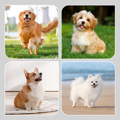 2 pár csúszásmentes, vízálló kutyazokni